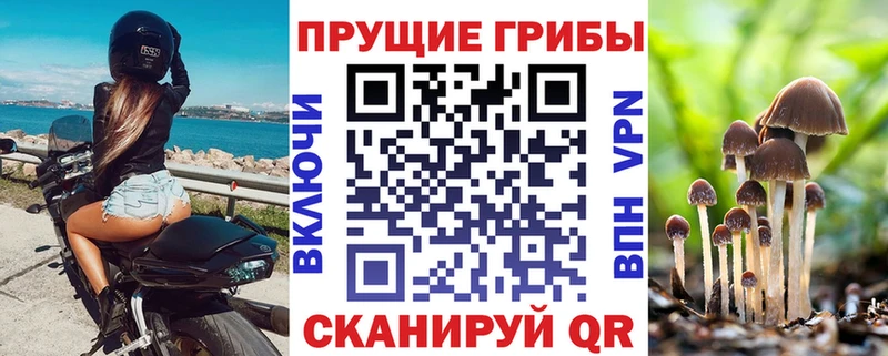 Псилоцибиновые грибы MAGIC MUSHROOMS  купить закладку  mega как зайти  Ржев 