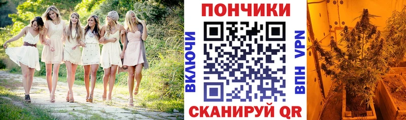 кракен онион  Ржев  Бошки марихуана тримм  даркнет сайт 